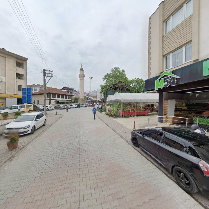 Fotoğraf 8