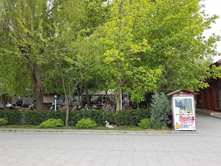 Fotoğraf 6