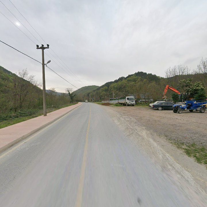 Fotoğraf 9