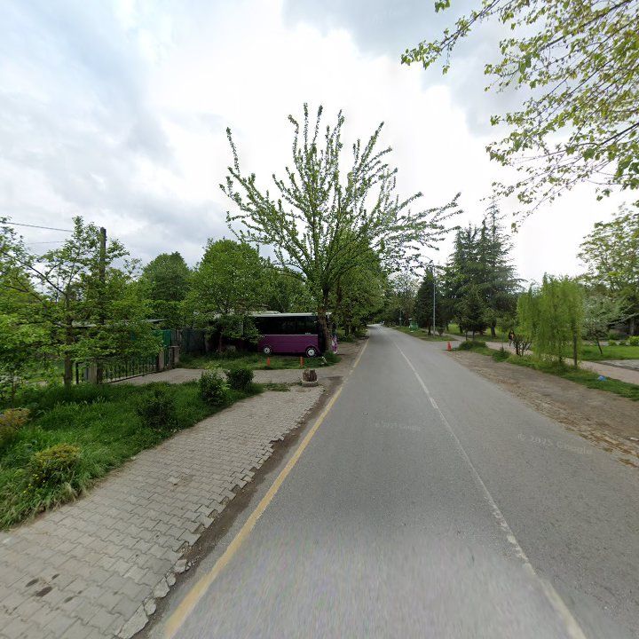 Fotoğraf 12
