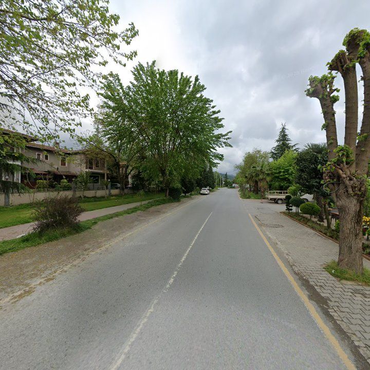 Fotoğraf 14