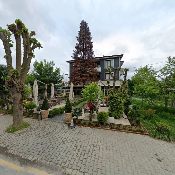 Fotoğraf 11