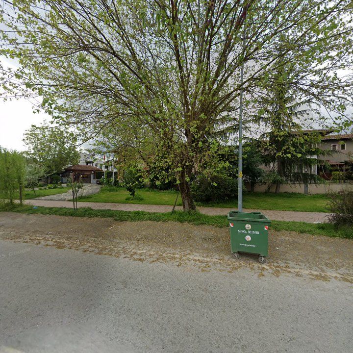 Fotoğraf 13