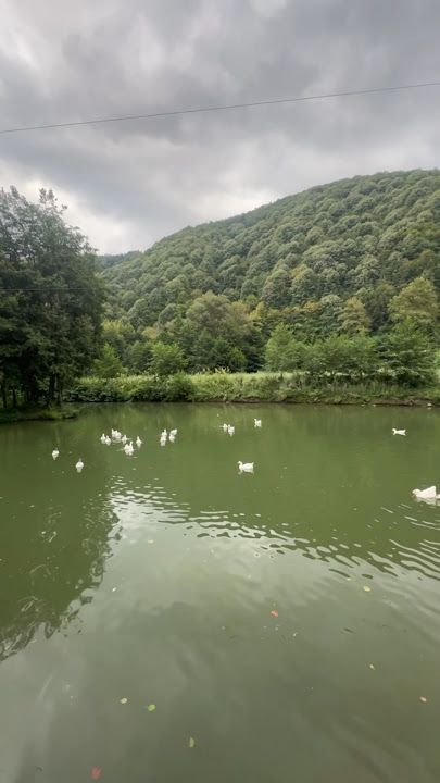 Fotoğraf 24
