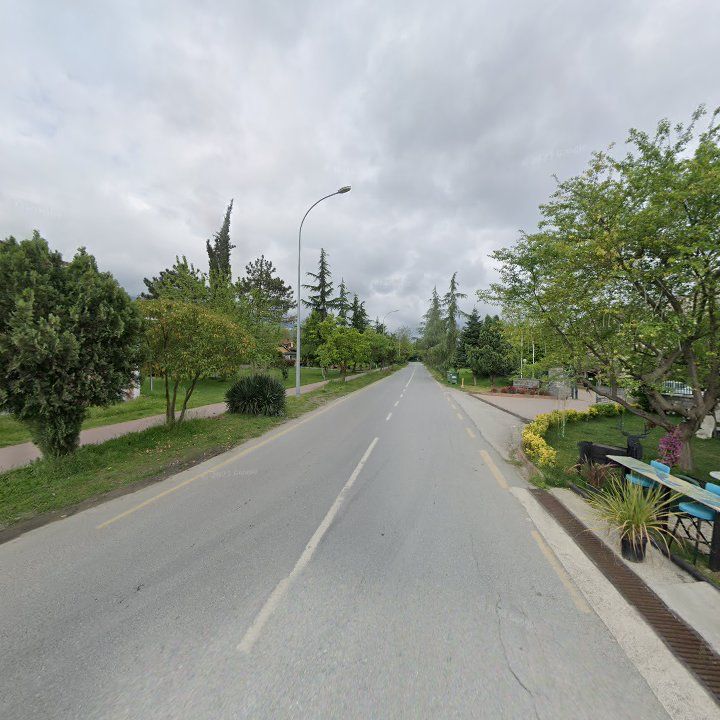 Fotoğraf 11