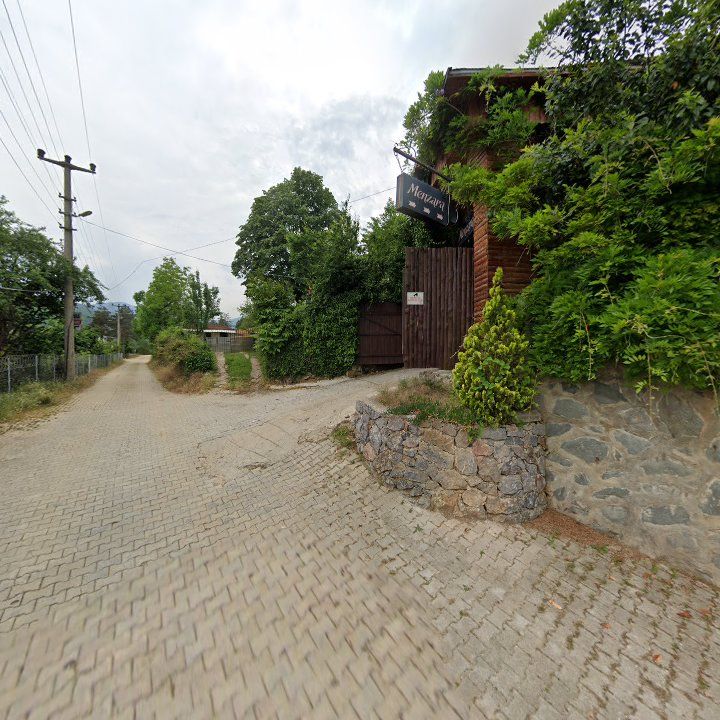 Fotoğraf 11