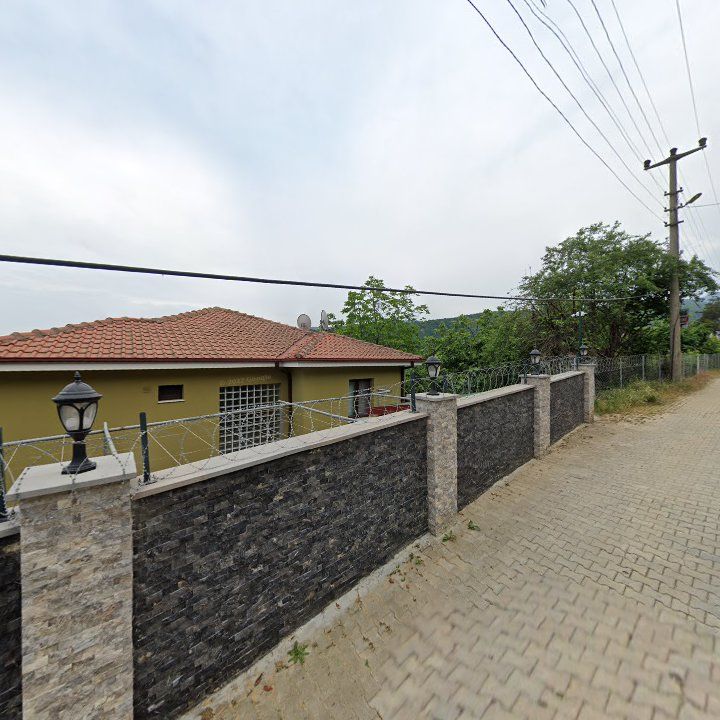 Fotoğraf 10
