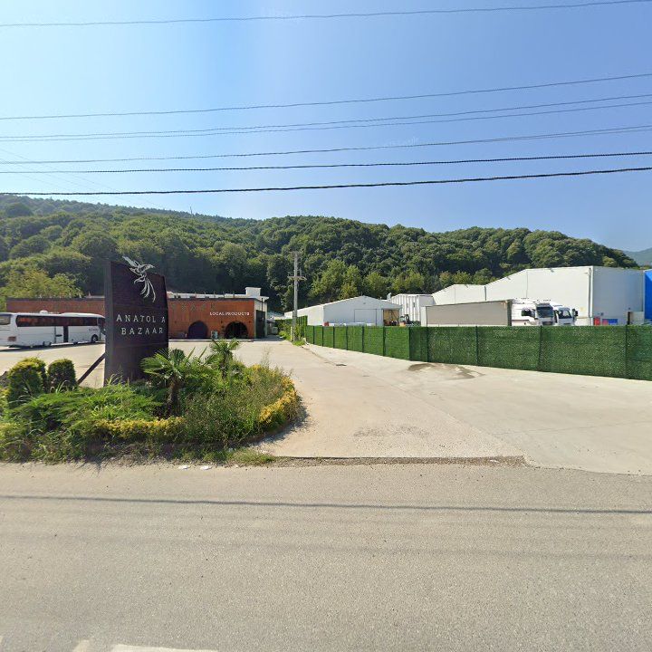 Fotoğraf 9