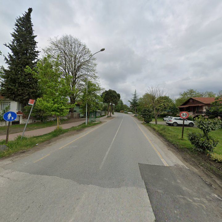 Fotoğraf 9