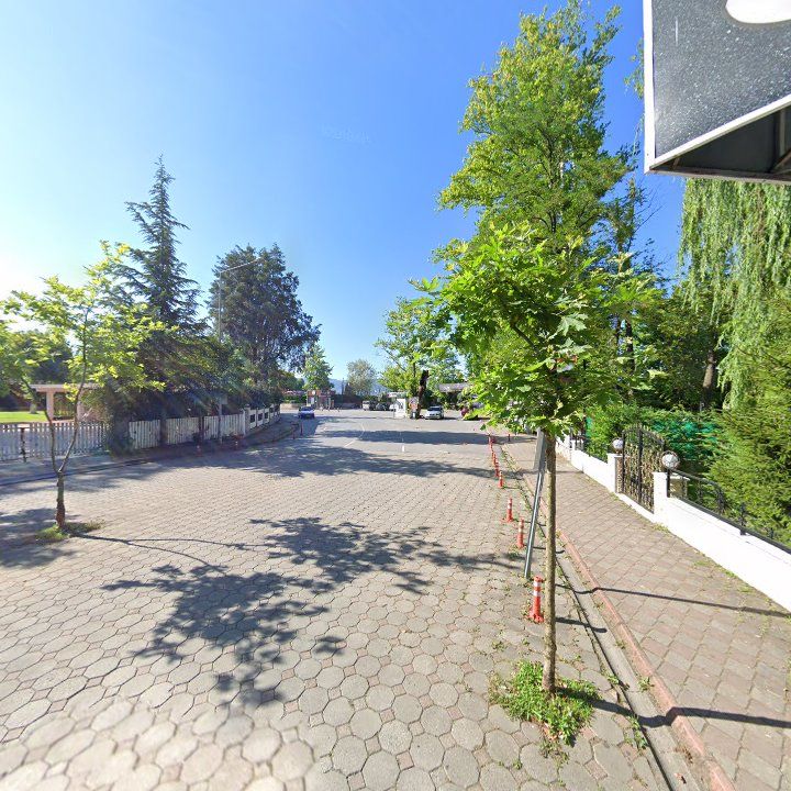 Fotoğraf 11