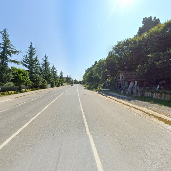 Fotoğraf 12