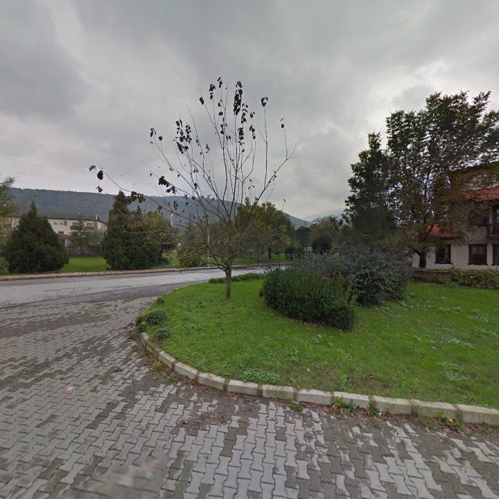 Fotoğraf 11