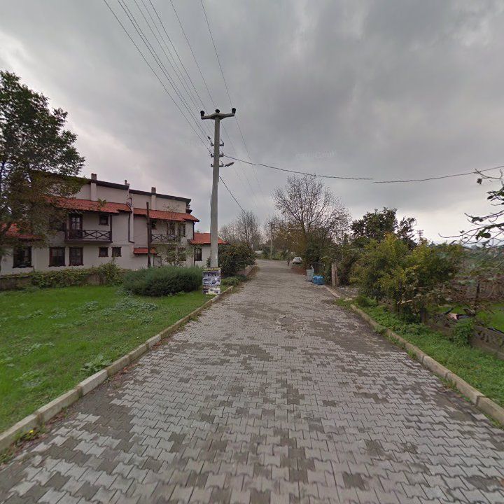 Fotoğraf 12