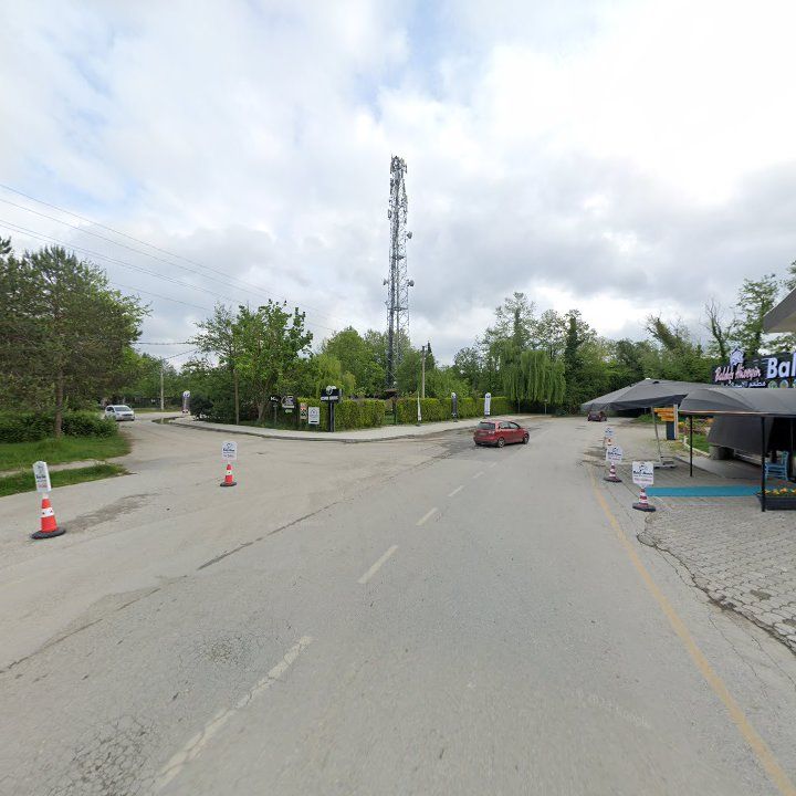 Fotoğraf 12
