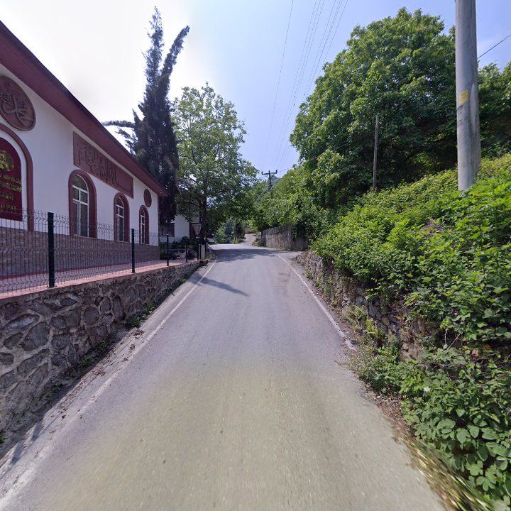 Fotoğraf 10