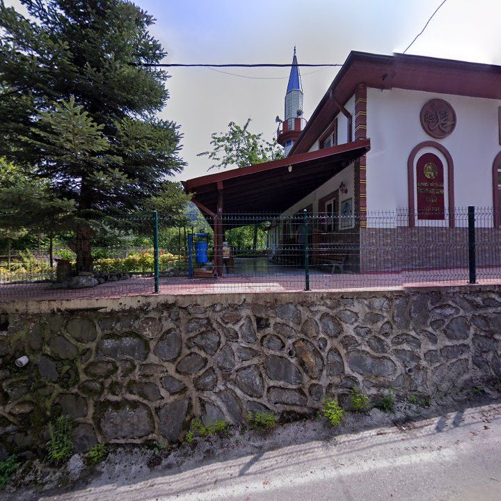 Fotoğraf 9