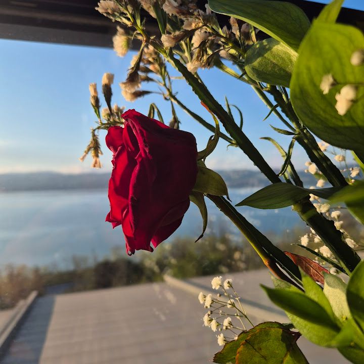 Fotoğraf 32