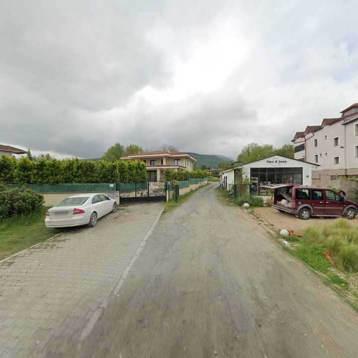 Fotoğraf 12