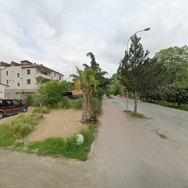 Fotoğraf 13