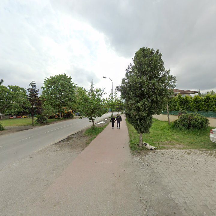 Fotoğraf 11
