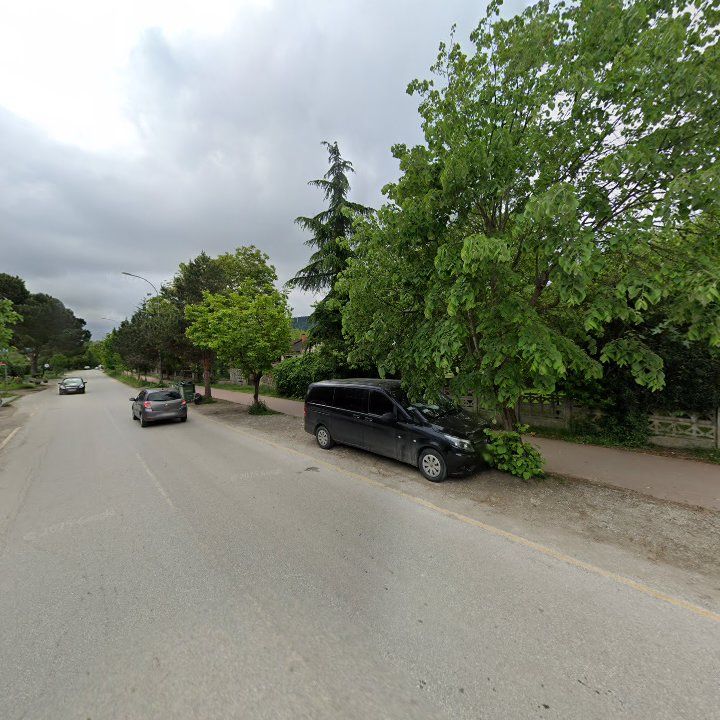 Fotoğraf 13