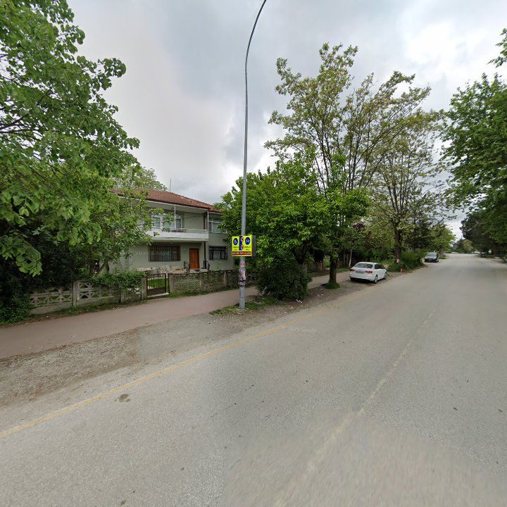 Fotoğraf 14