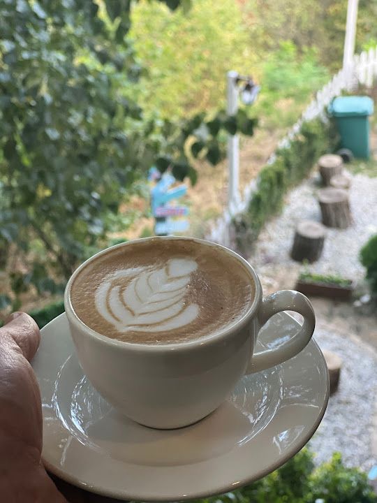 Fotoğraf 30