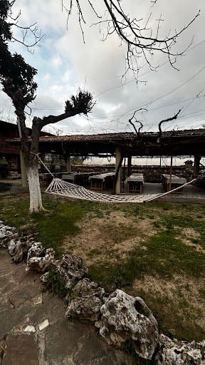 Fotoğraf 22