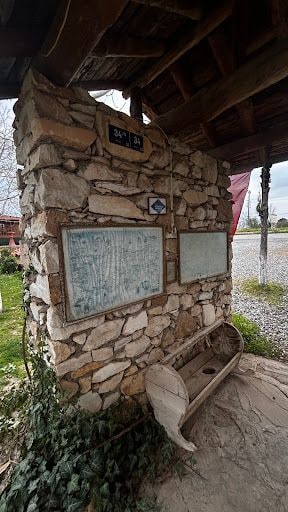 Fotoğraf 23
