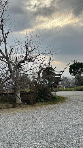 Fotoğraf 24