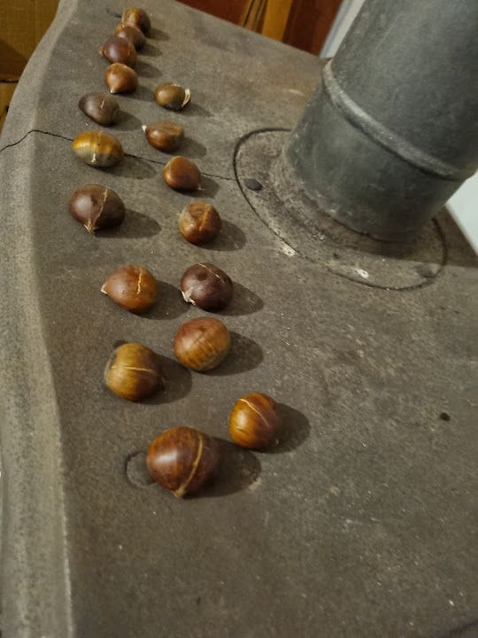 Fotoğraf 44