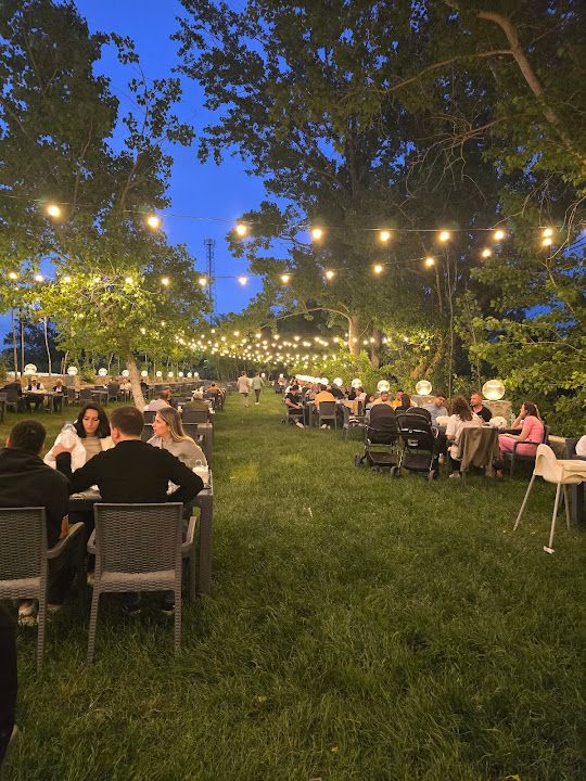 Ayı Restoran