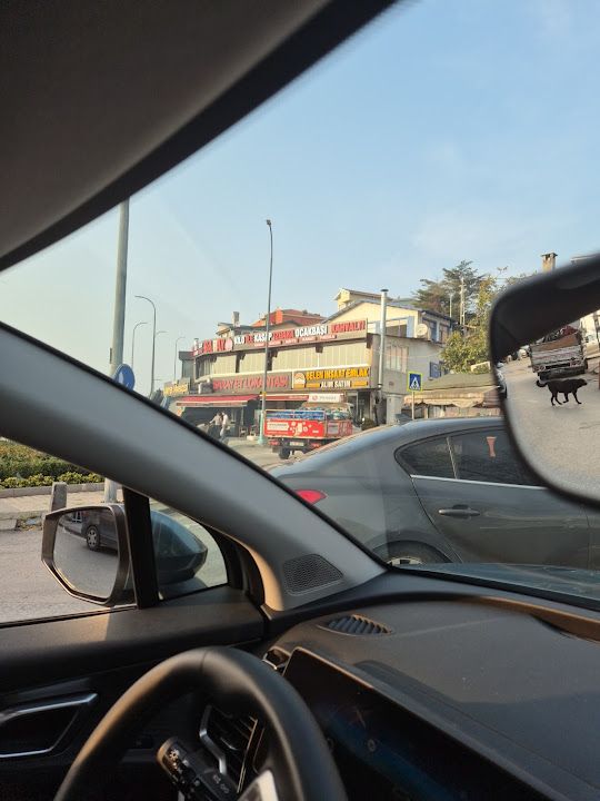 Yorum fotoğrafı 1