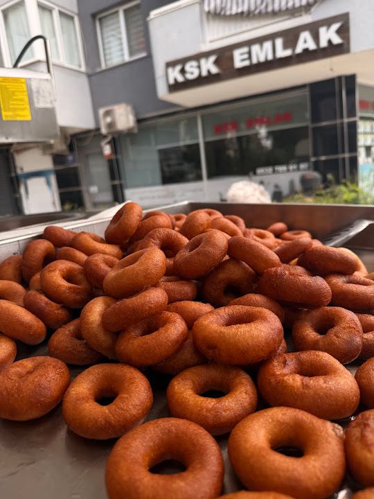 Fotoğraf 16