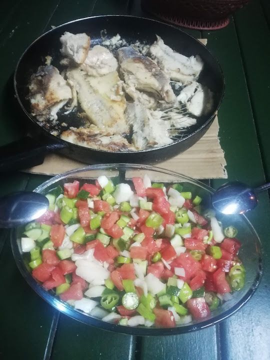 Fotoğraf 15
