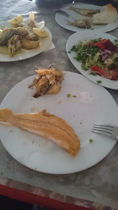 Fotoğraf 14
