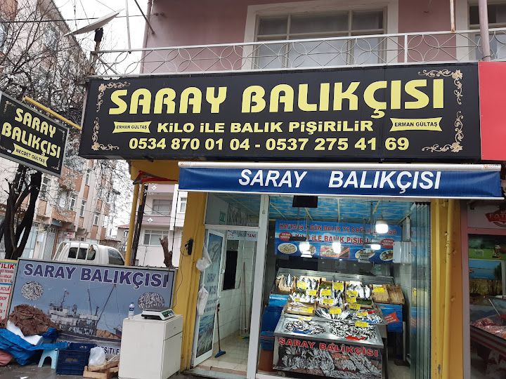Saray Balıkçısı
