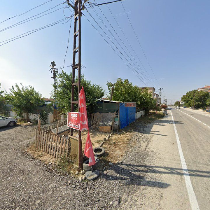Fotoğraf 10