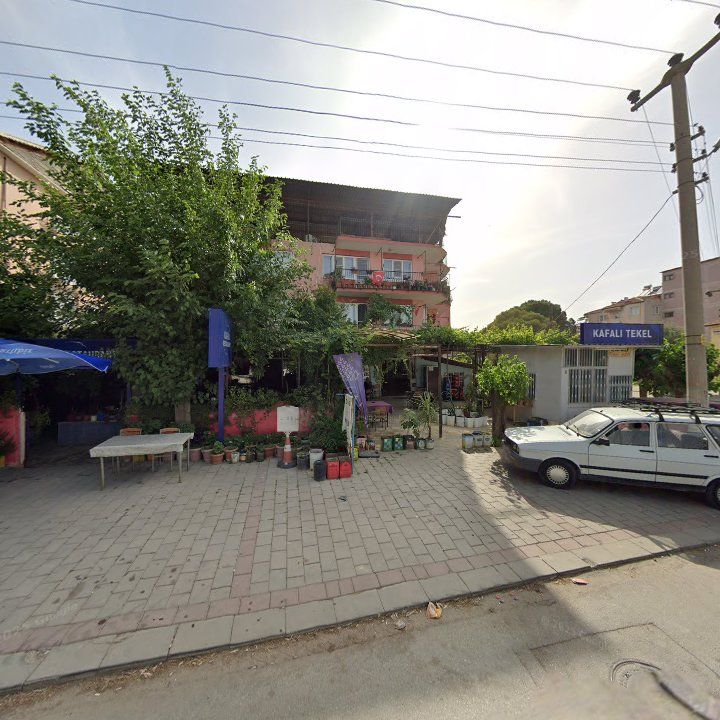 Agora Nın Yerı