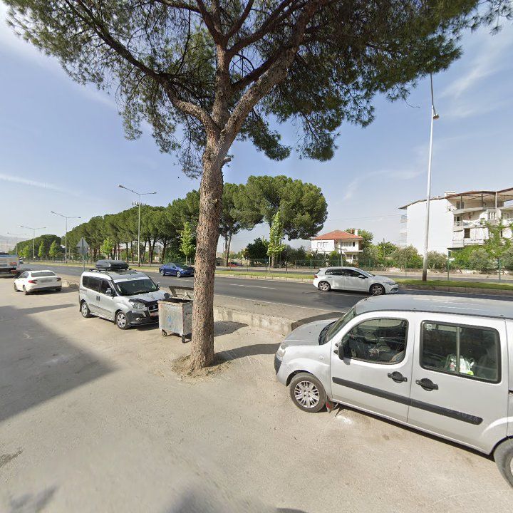 Fotoğraf 8