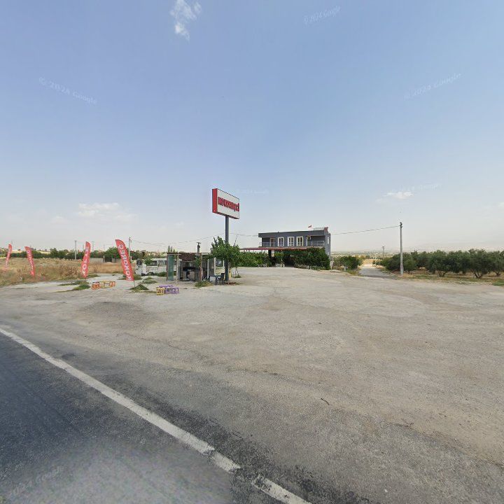 Fotoğraf 8