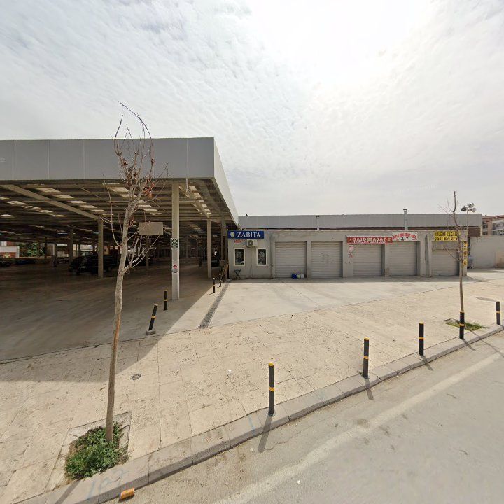 Fotoğraf 8