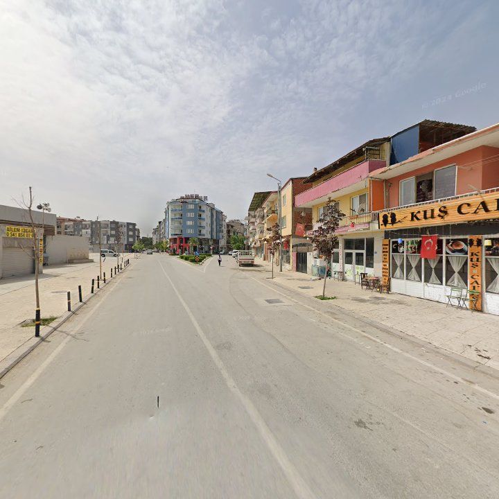 Fotoğraf 9