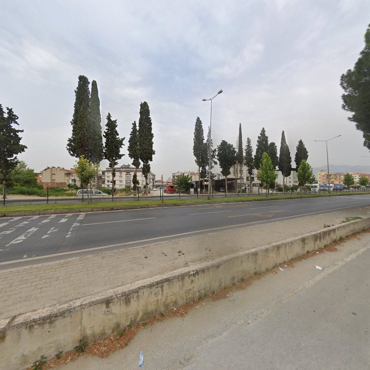 Fotoğraf 6