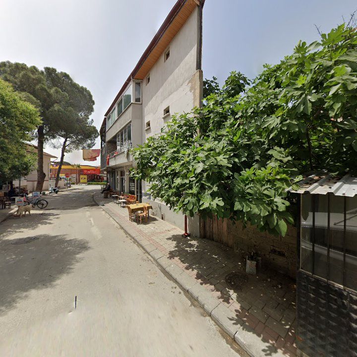 Fotoğraf 4