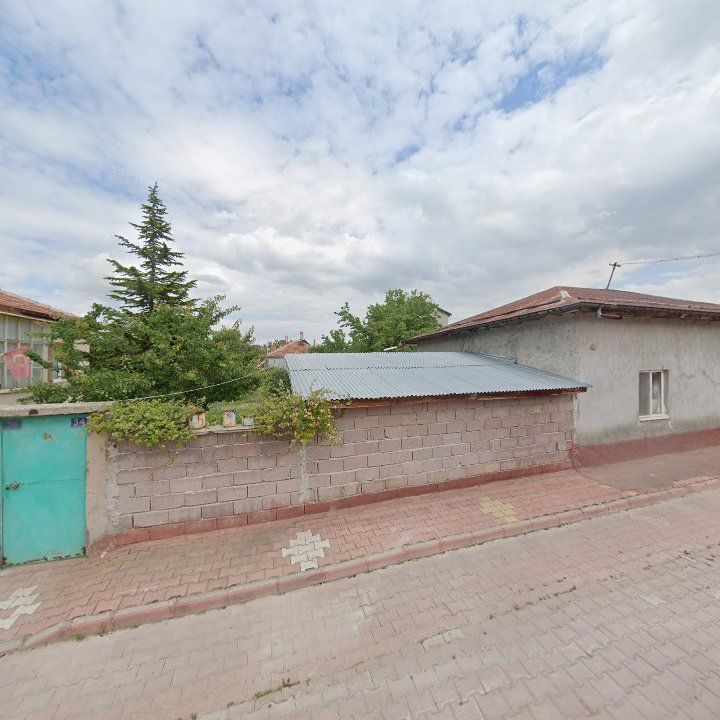 Fotoğraf 3