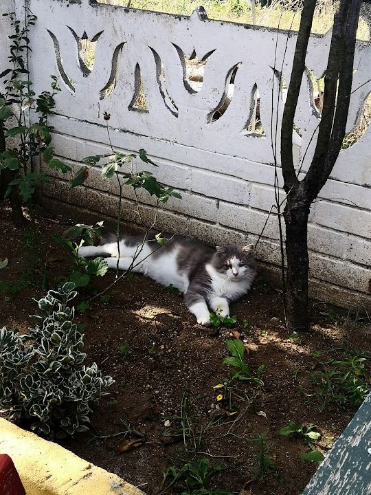 Fotoğraf 19