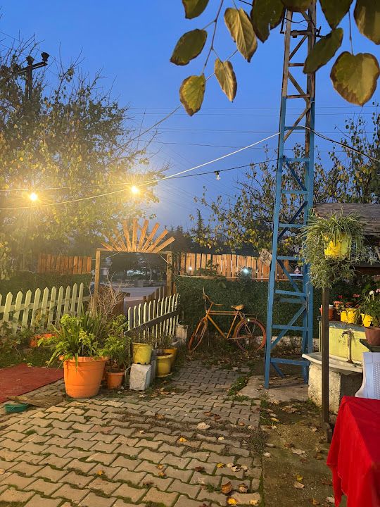 Yorum fotoğrafı 3