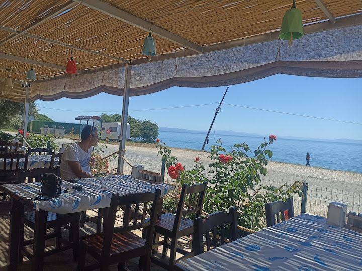 Fotoğraf 31