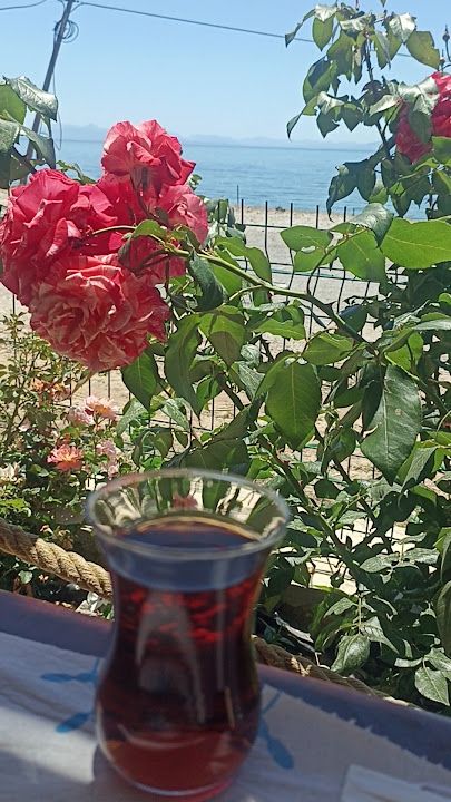 Fotoğraf 30